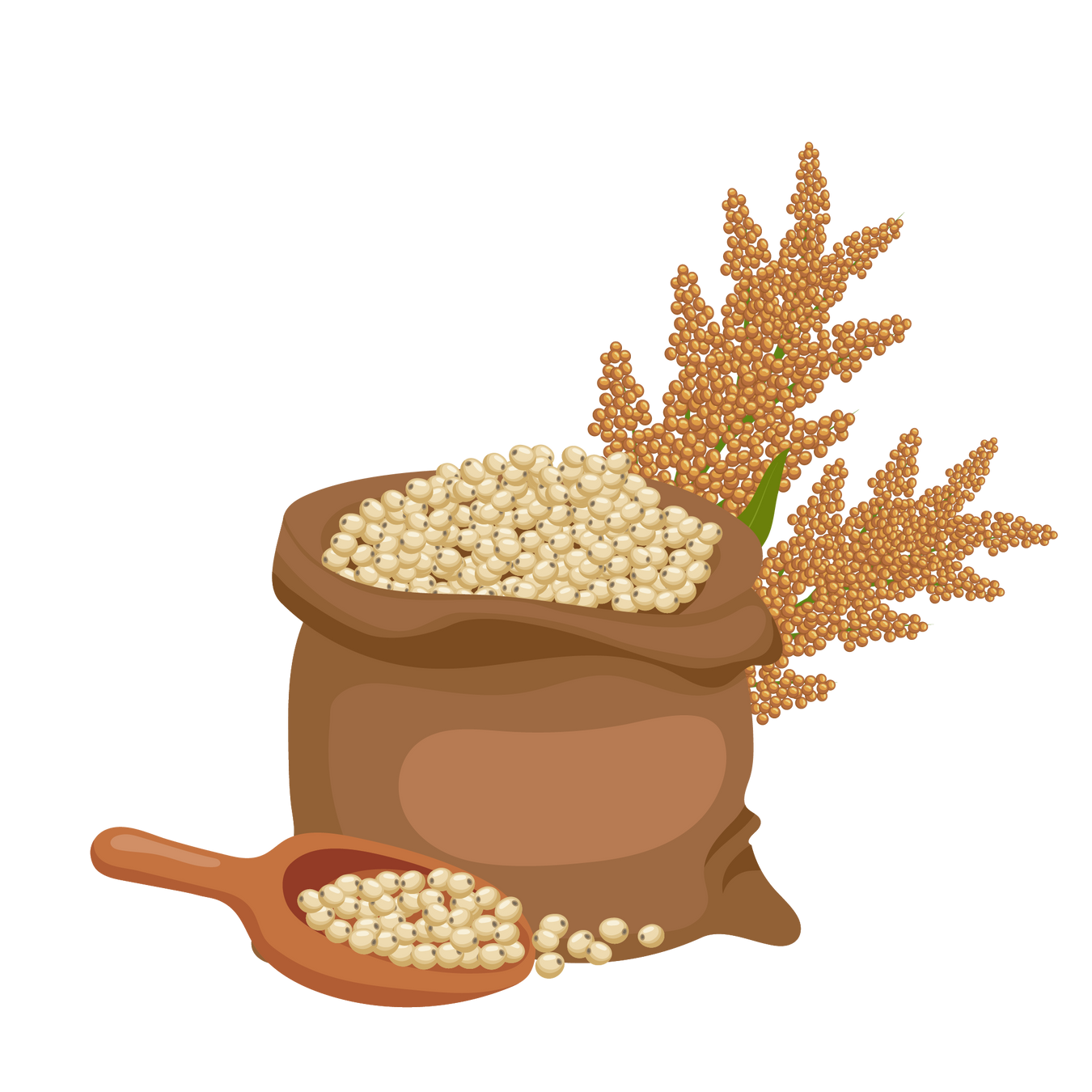 Orgainc Millets