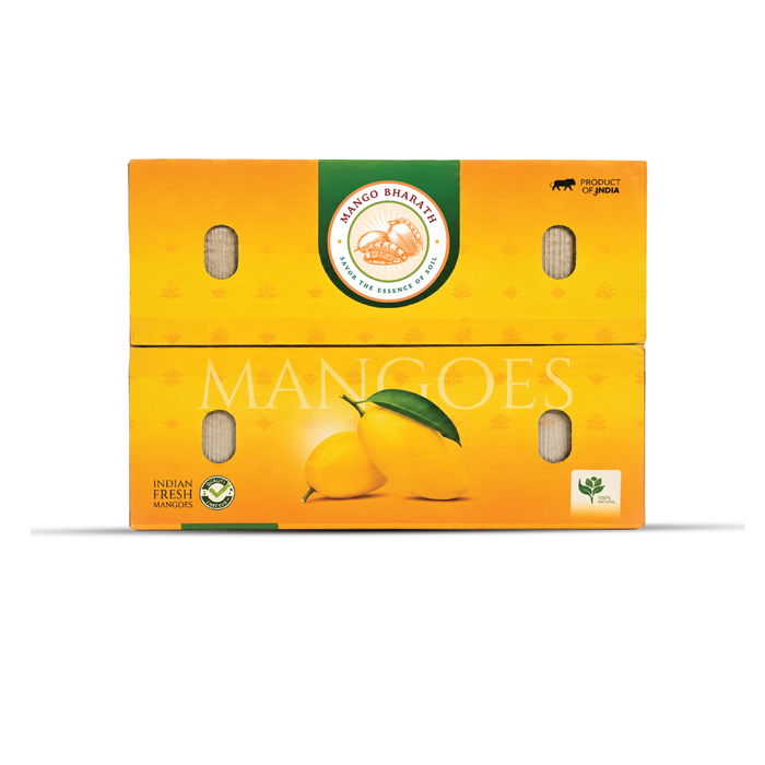 Organic Alphonso Mango (Hapus) – Carbide-Free | Rajamudi Organics